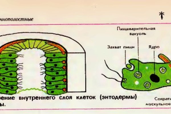 Удалился аккаунт кракен